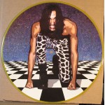 Ramirez – Orgasmico 12' Picture Disc Vinyl